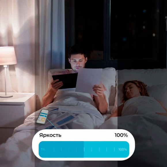 Умная розетка Wi-Fi Moes с регулировкой яркости