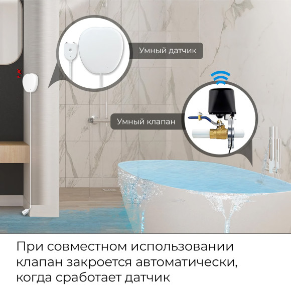 Умный датчик протечки воды Wi-Fi Moes