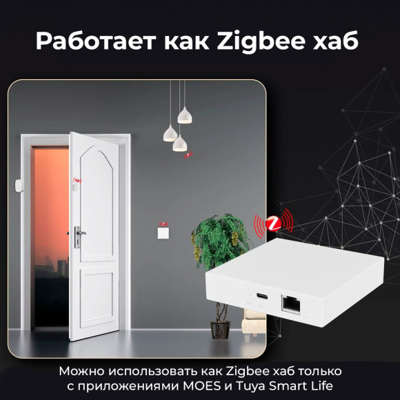 Мультипротокольный проводной Zigbee хаб MOES с поддержкой Matter
